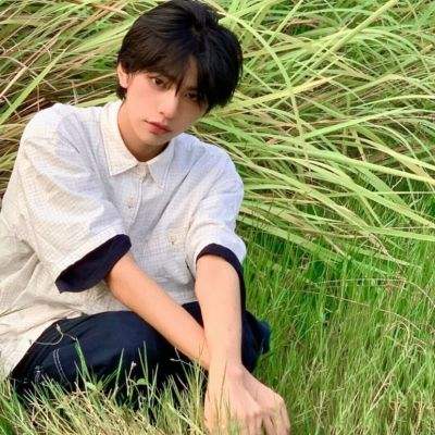 黎明航线果盘版下载
